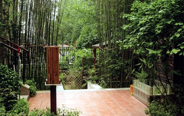 竹子的庭院设计运用